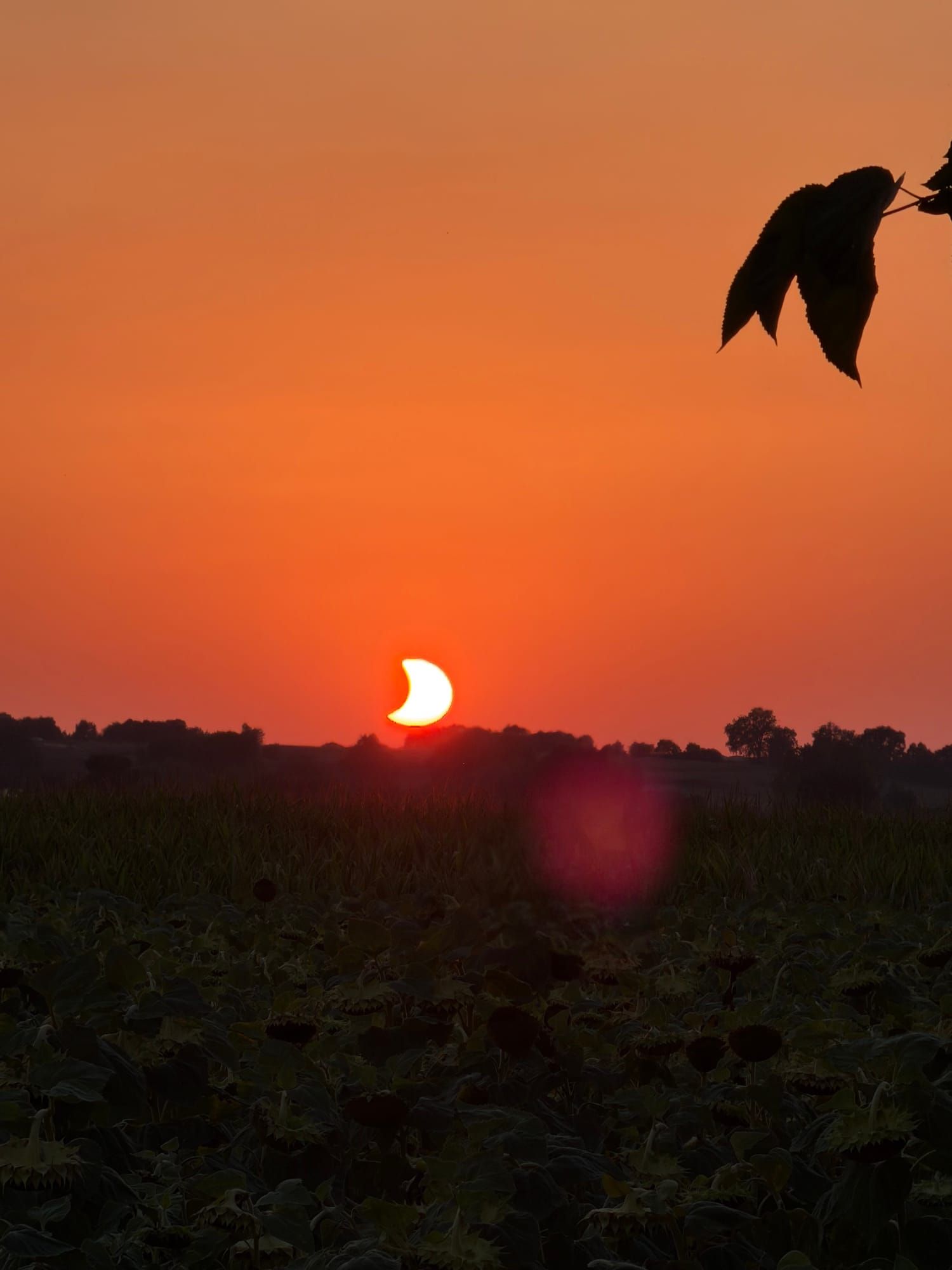 Solar eclipse of August 12, 2026 from Verdun-sur-Garonne