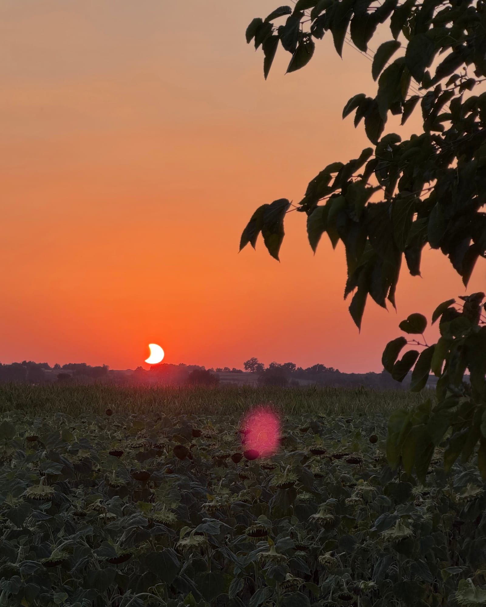 Solar eclipse of August 12, 2026 from Verdun-sur-Garonne
