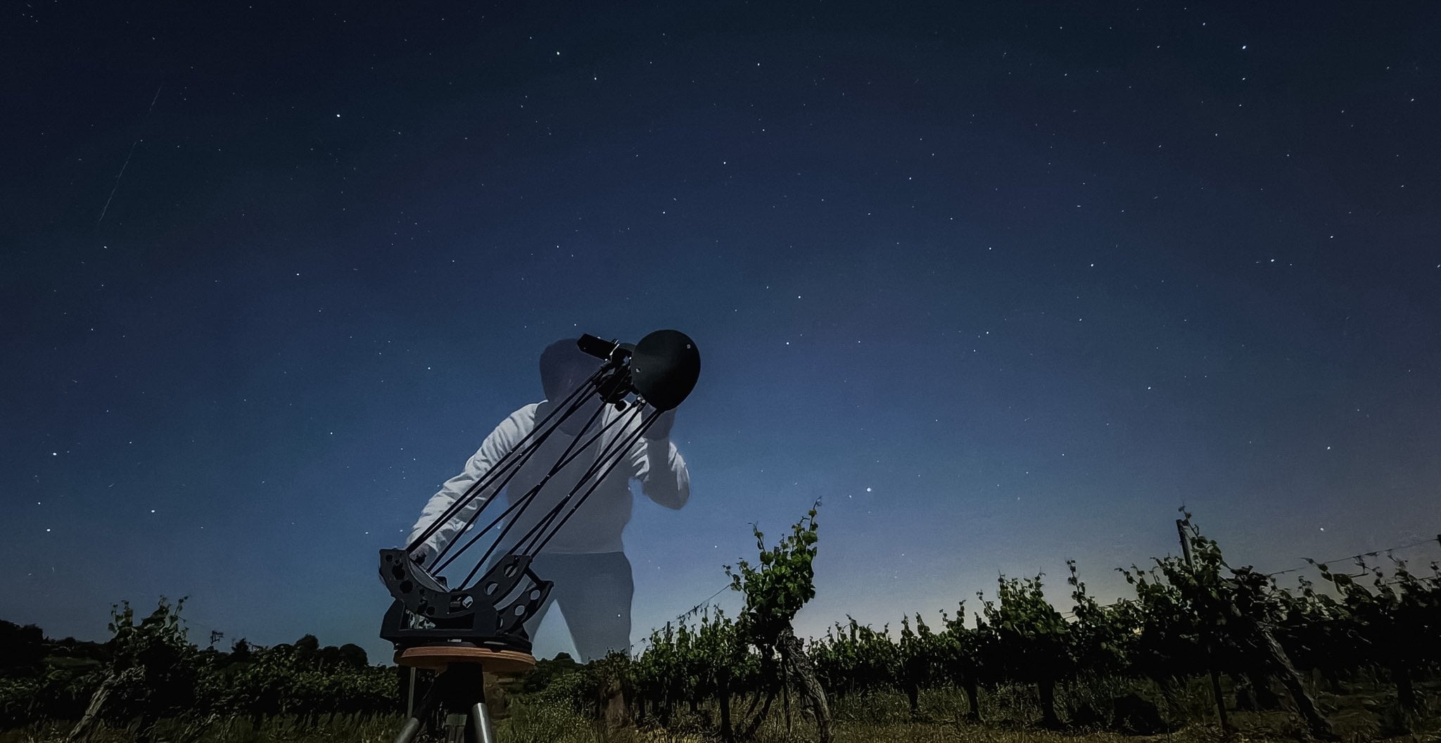 Smallest - Observation nocturne