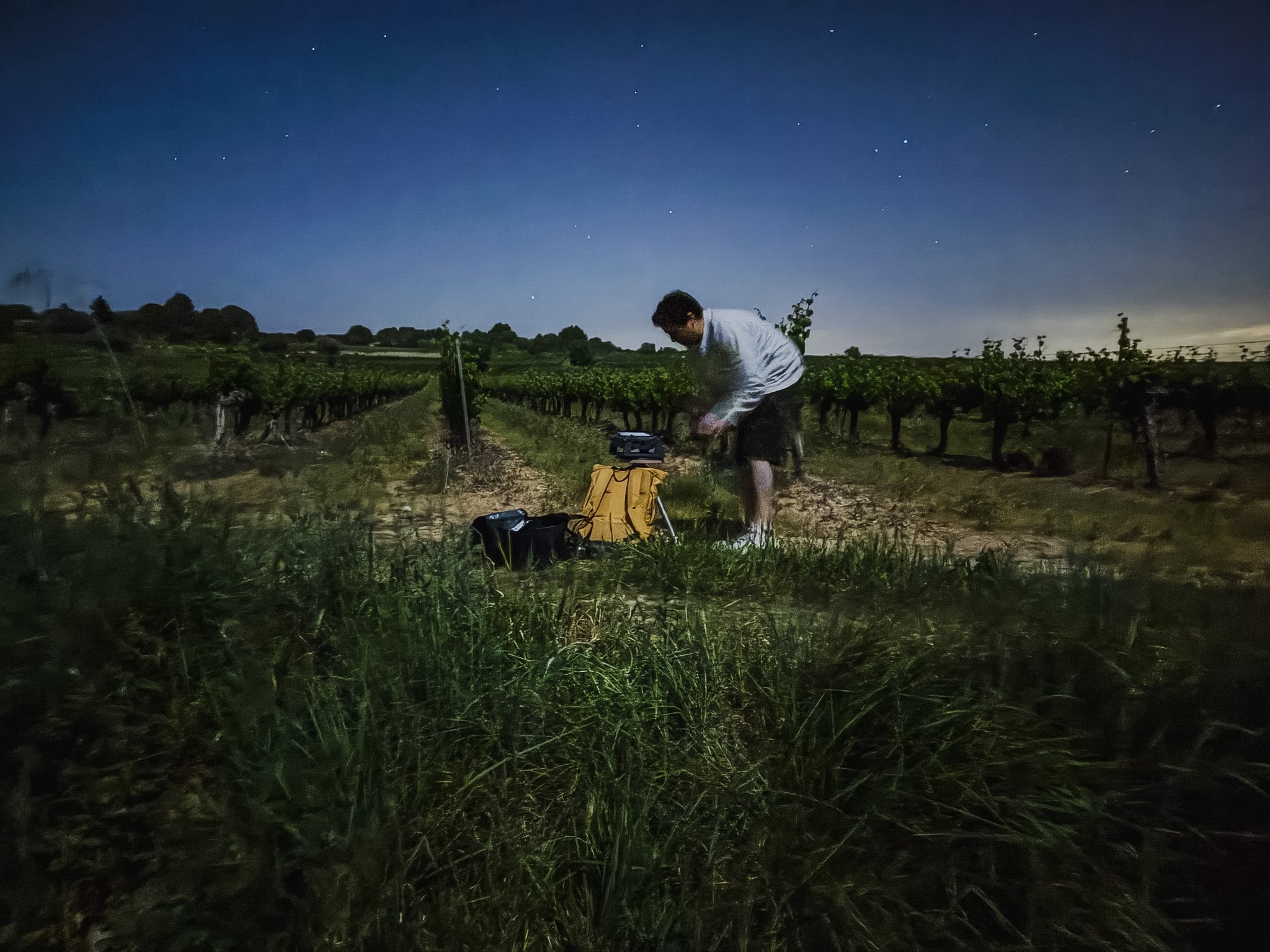 Smallest - Night observation 6