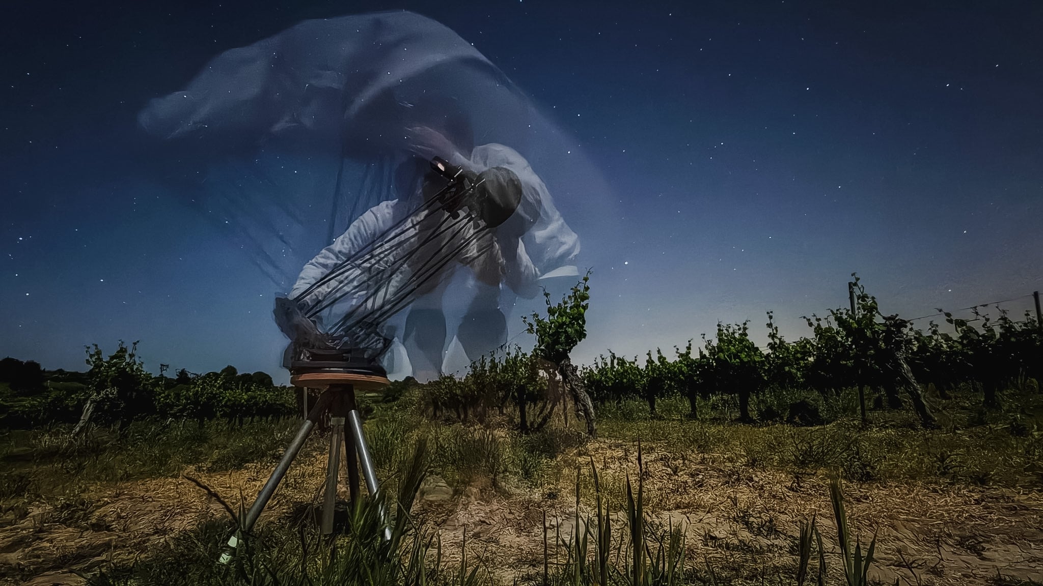 Smallest - Night observation 9